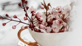 Wyjątkowe naczynia z polskich manufaktur w Miloo Home