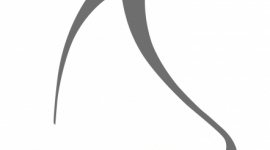 Tikkurila Budowlaną Marką Roku 2021